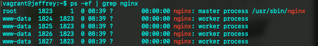 深入 Nginx 之架构篇_nginx_06