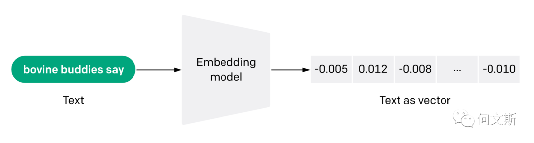 文本 Embedding 基本概念和应用实现原理_技术分享