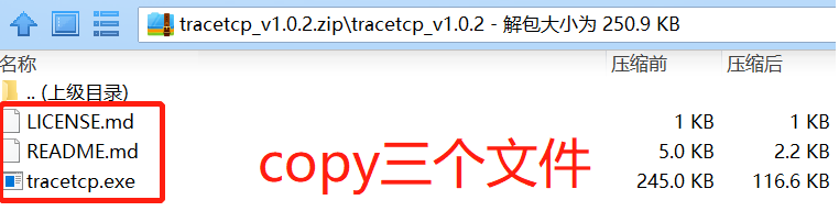 Tracetcp/Tcptrace的使用_使用例子