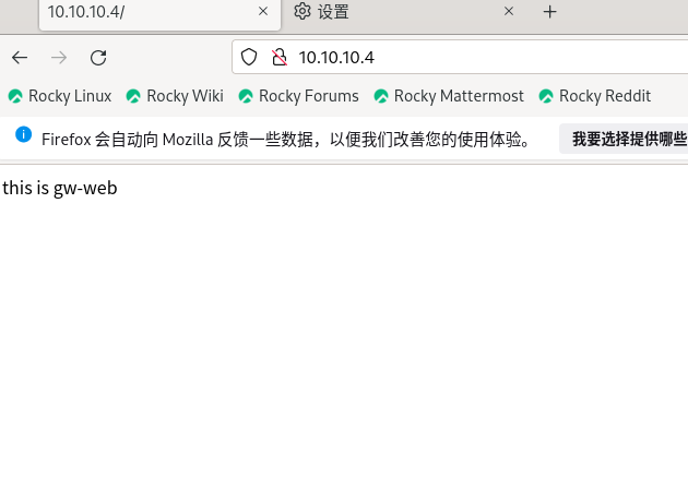 Rocky_Linux9之Squid透明模式_Squid服务_06