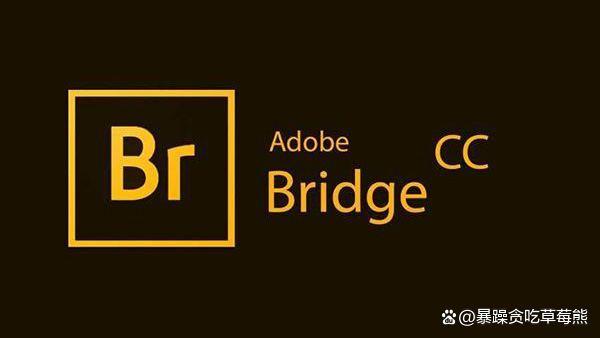 Adobe Bridge 2023最新版下载｜br2021下载及安装教程 mac/win版_Adobe