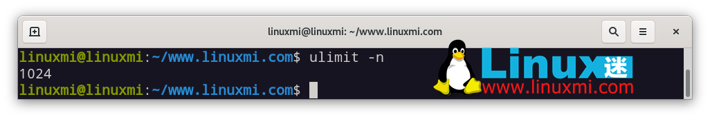 Linux 上 Nginx 获得最佳性能调试方法_配置文件_03