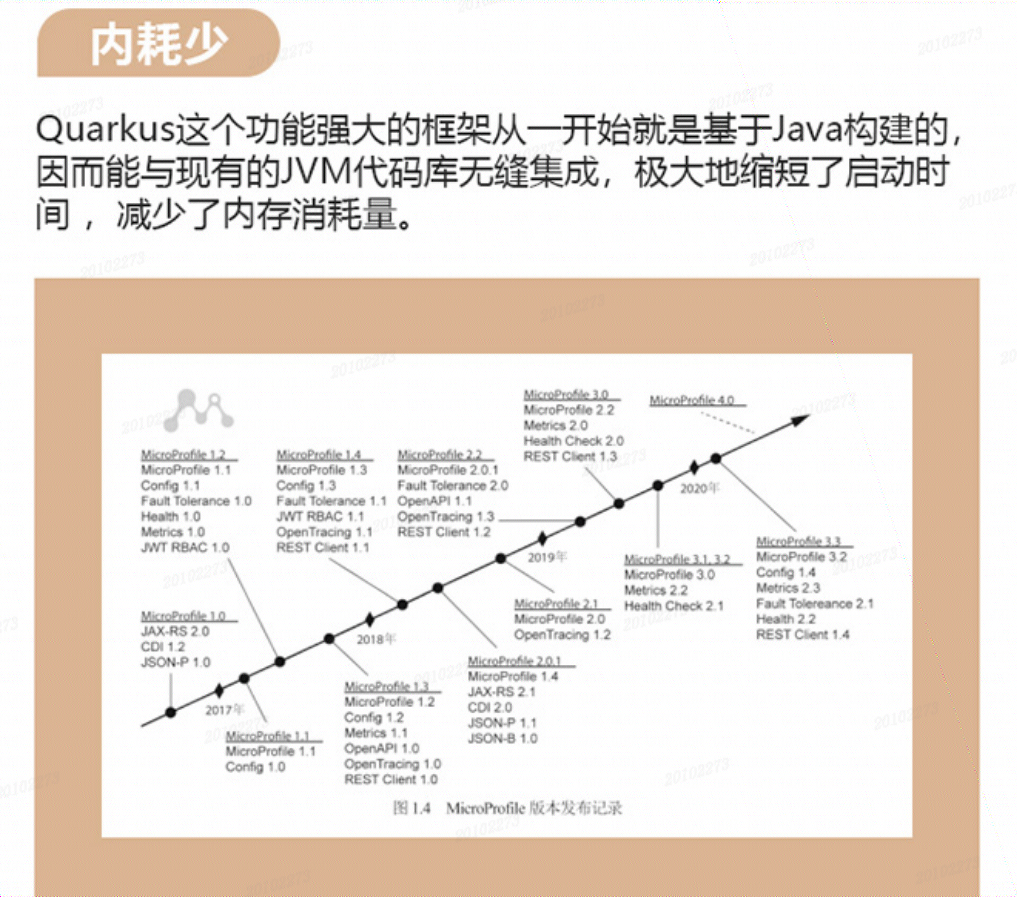 Kubernetes 原生微服务开发_容器_02