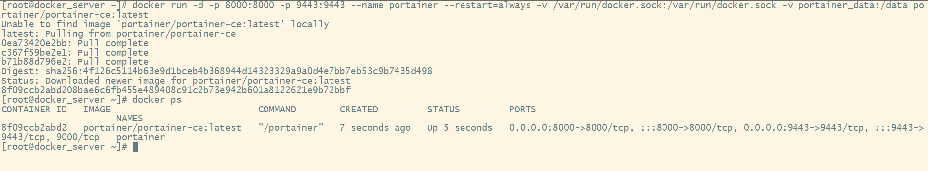 Docker可视化管理工具Portainer_Docker_06