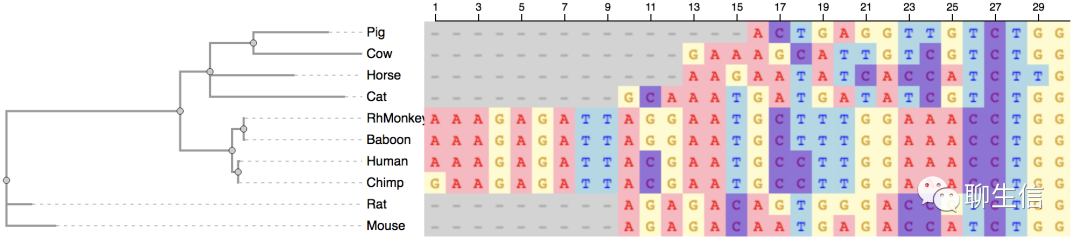 346个基因组可视化工具一网打进！_html_324