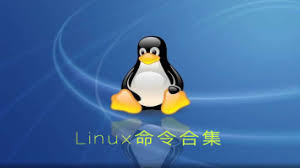 Linux 查看文件大小并排序_显示文件