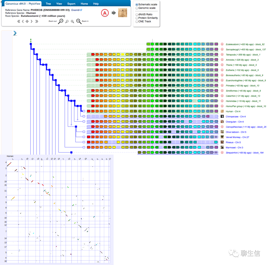 346个基因组可视化工具一网打进！_Python_236