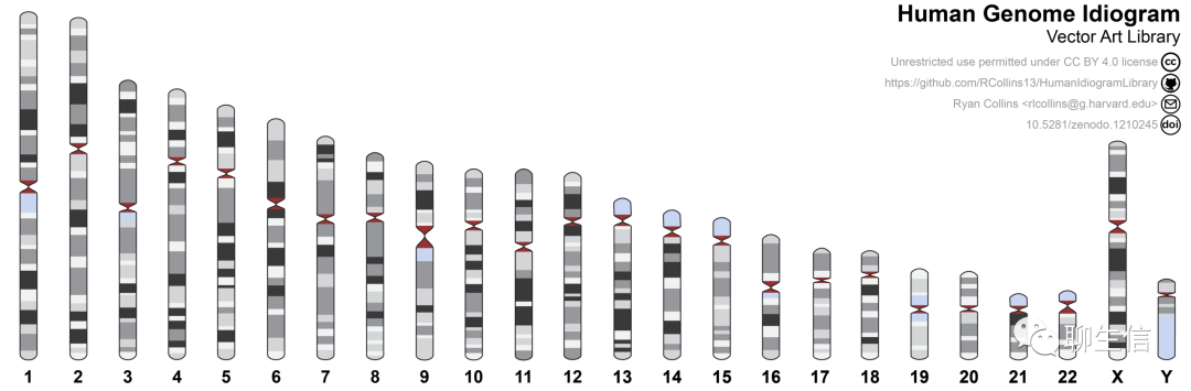 346个基因组可视化工具一网打进！_Python_93