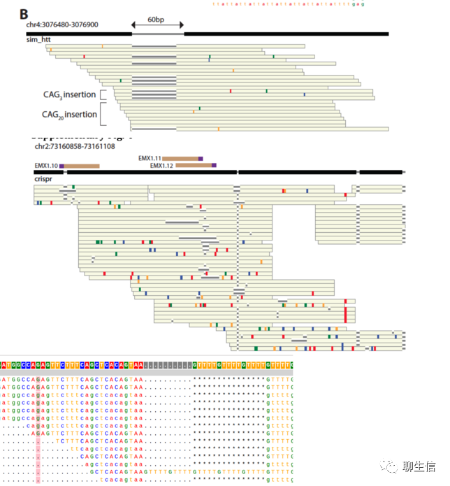 346个基因组可视化工具一网打进！_Python_202