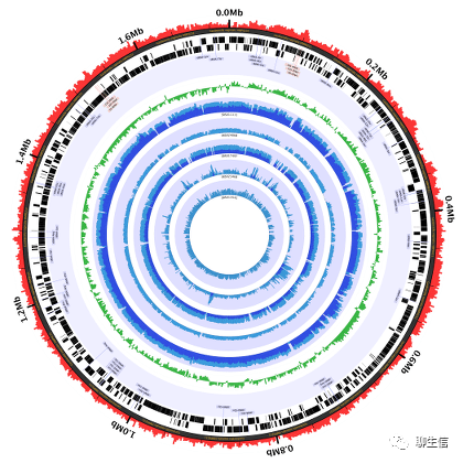 346个基因组可视化工具一网打进！_html_194