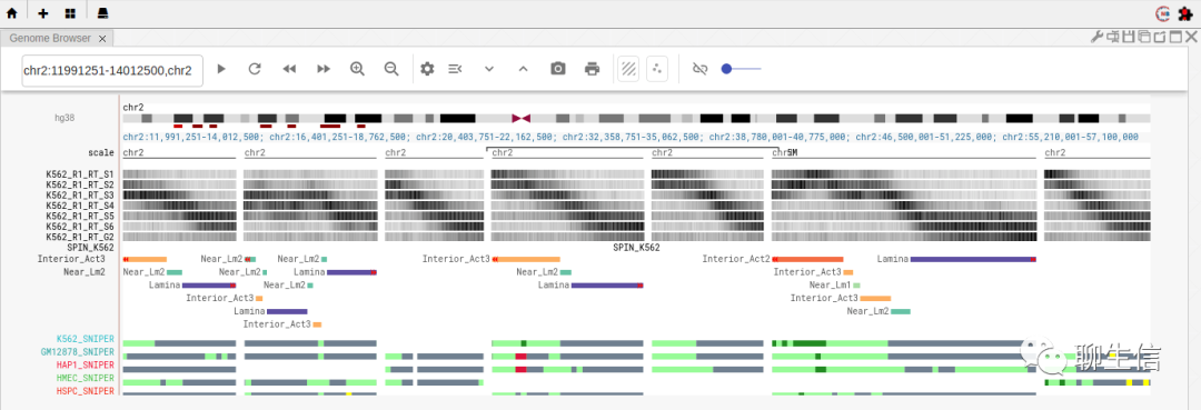 346个基因组可视化工具一网打进！_Python_127