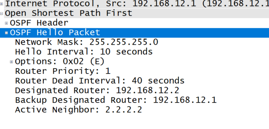 【每日一记】OSPF中Hello报文详讲_华为HCIP_02