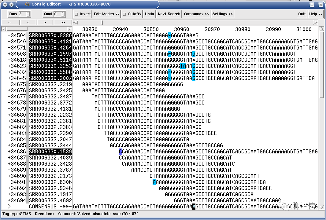 346个基因组可视化工具一网打进！_html_17