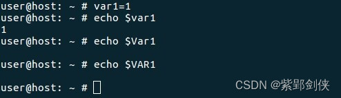 Linux shell编程学习笔记5：变量命名规则、变量类型、使用变量时要注意的事项_环境变量_03