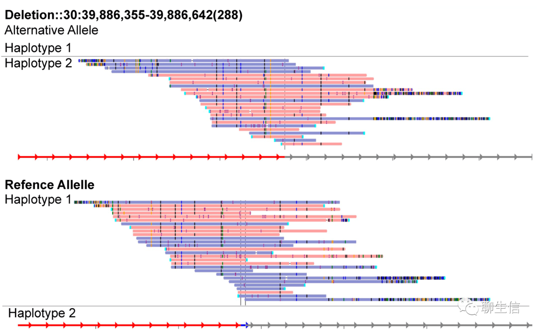 346个基因组可视化工具一网打进！_Python_255