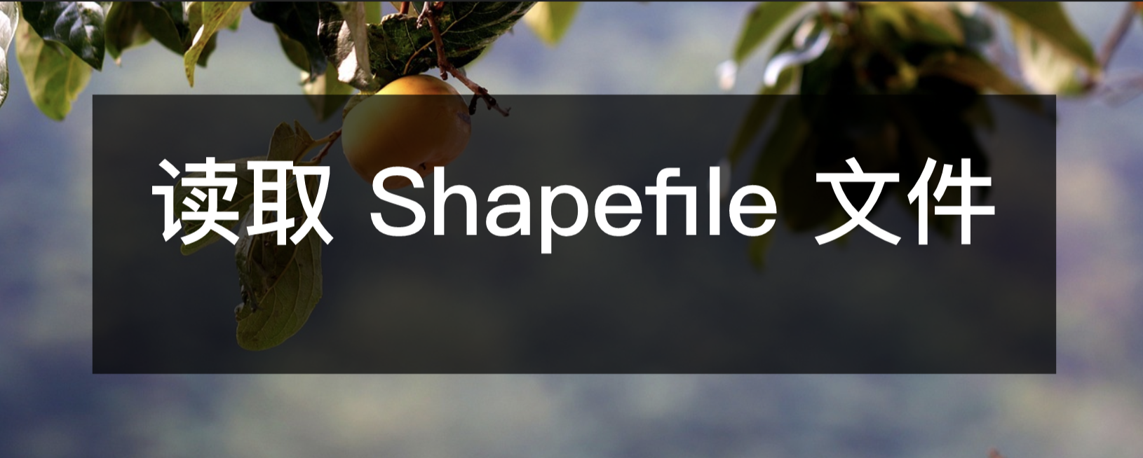 读取 Shapefile 文件
