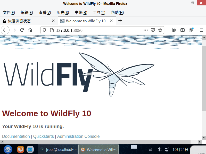银河麒麟服务器操作系统--wildfly 10_中间件_06