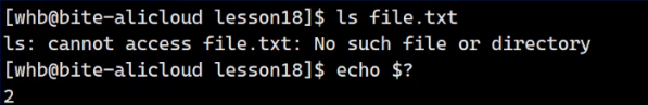 Linux中进程的控制（上）_错误码_26