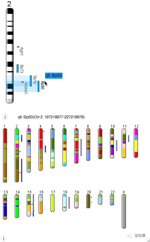 346个基因组可视化工具一网打进！_html_19