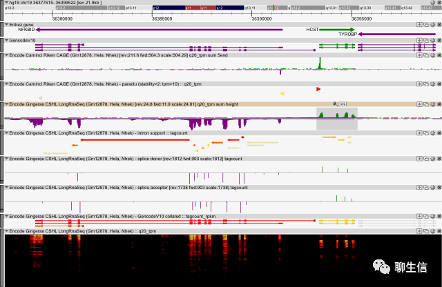 346个基因组可视化工具一网打进！_html_121