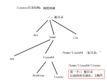 C语言基础_局部变量_03