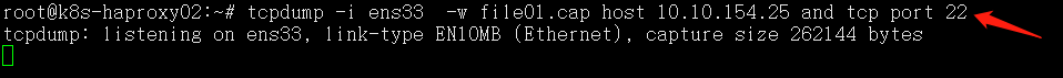 Linux 网络抓包工具 Tcpdump使用 并使用wireshark打开cap文件_TCP_04