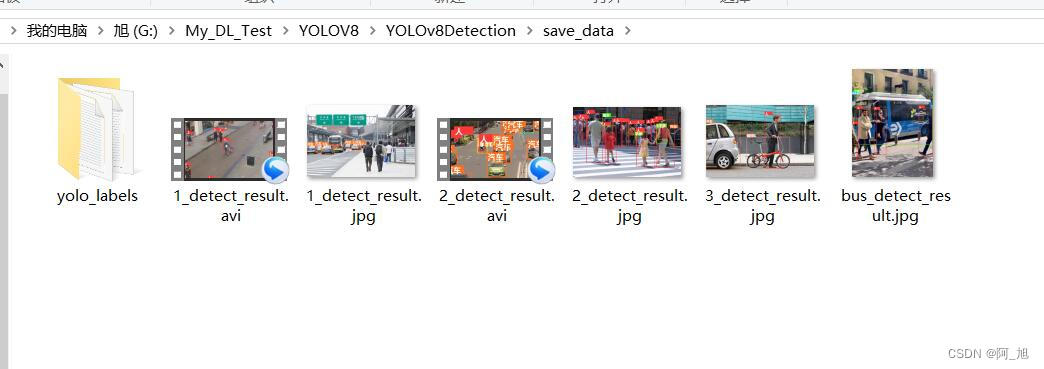 基于YOLOv8的多目标检测与自动标注软件【python源码+PyqtUI界面+exe文件】【深度学习】_python_06