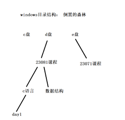 C语言基础_十进制_02