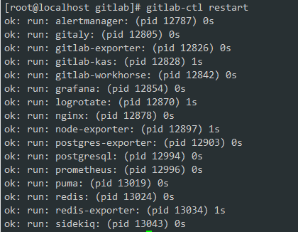CentOS环境：安装配置gitlab（适用于内网、外网环境）_缓存_11