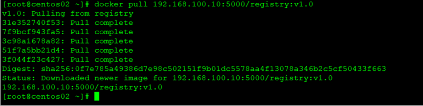              Docker 的 registry 私有仓库和容器管理_配置文件_25