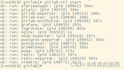 Linux搭建GitLab私有仓库_git_04