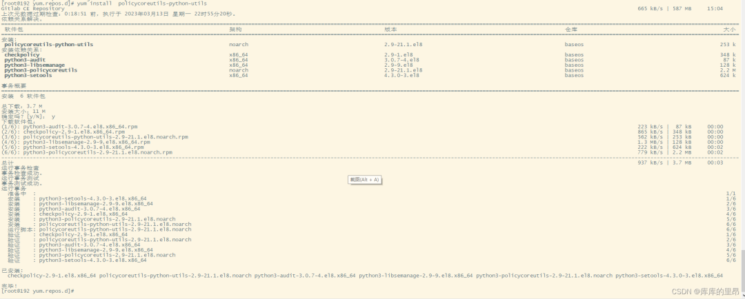 Linux搭建GitLab私有仓库_子域名