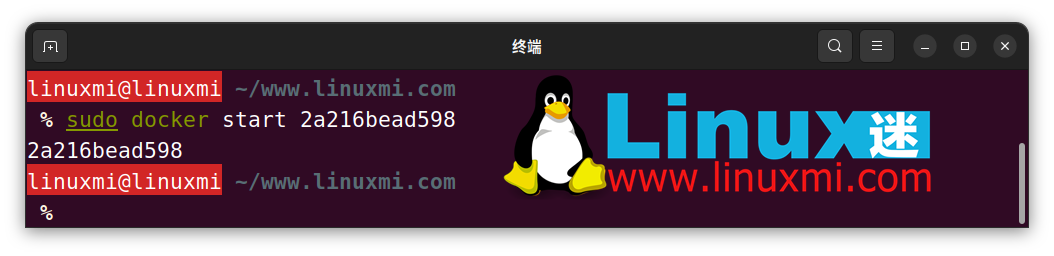  8 个 Docker 关键命令_Ubuntu_06