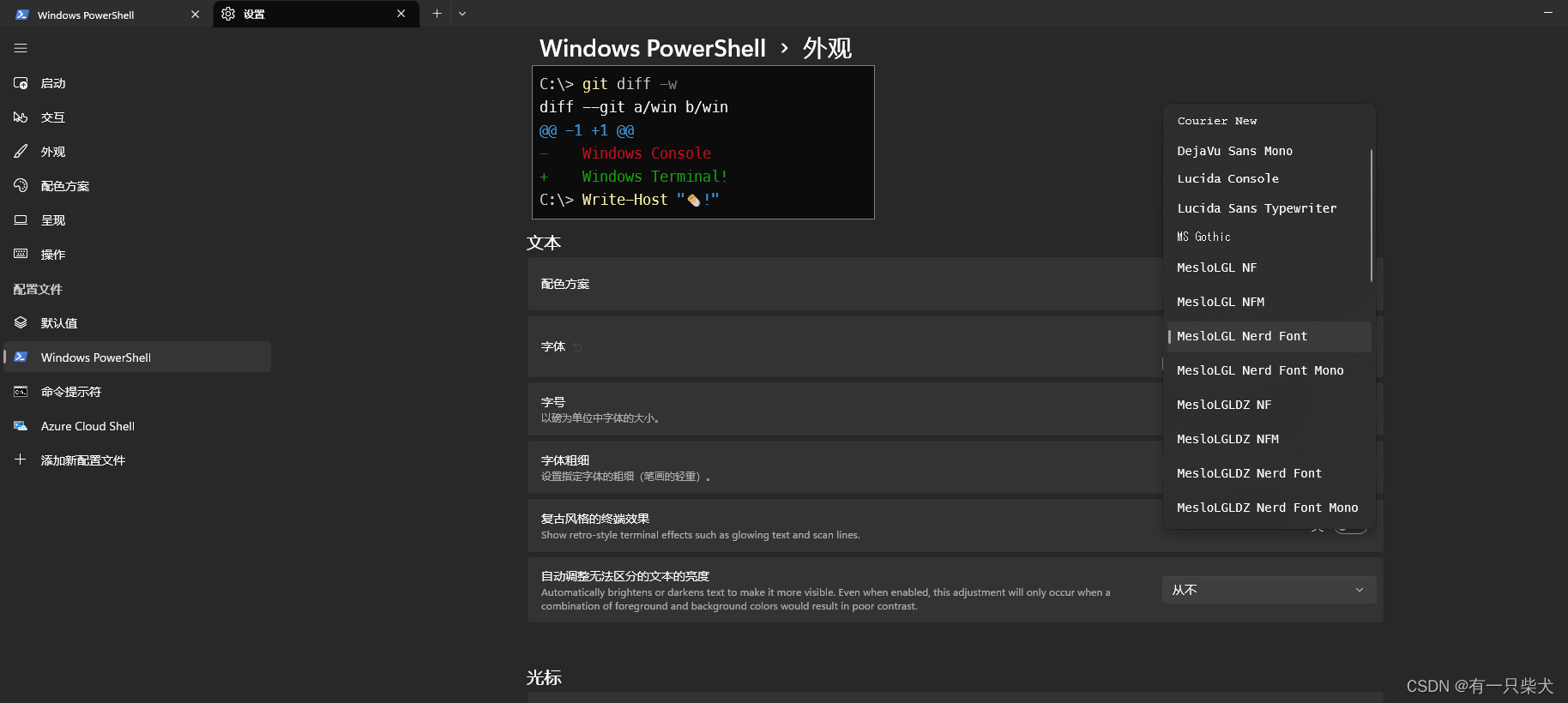 Windows terminal美化工具Oh-My-Posh_重启_09
