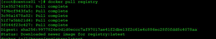              Docker 的 registry 私有仓库和容器管理_配置文件_02