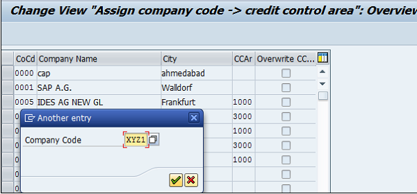 SAP FI -Company Basics&Define Business/Functional Area/Credit Control_SAP_19