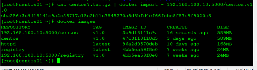              Docker 的 registry 私有仓库和容器管理_配置文件_35