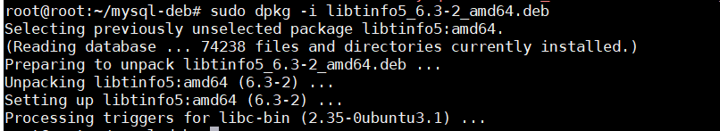 ubuntu22.04部署mysql---单节点_ubuntu22.04_04