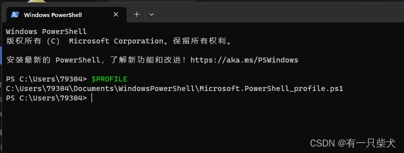 Windows terminal美化工具Oh-My-Posh_windows_05