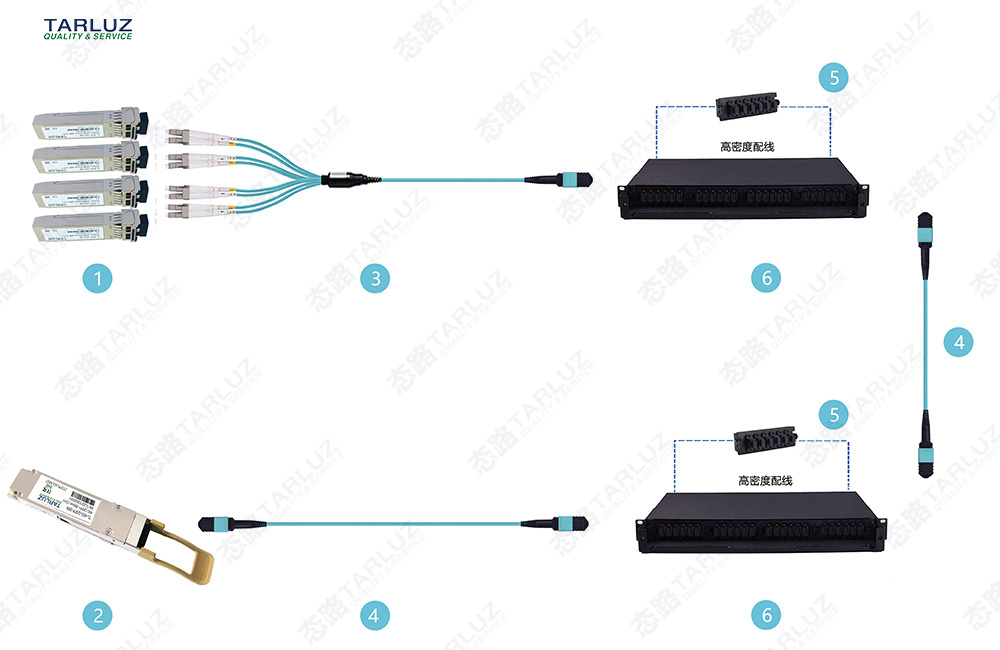 态路小课堂丨关于12芯MPO/MTP光纤跳线的订购与应用指南_态路通信_09