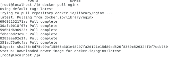 搭建服务器lmnpr-linux_Mysql_nginx_php_redis_mysql