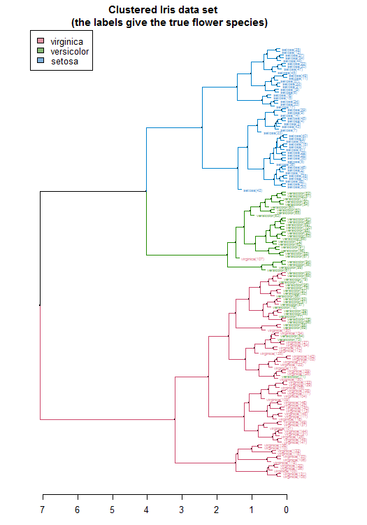 R语言鸢尾花iris数据集的层次聚类分析_R语言开发_03
