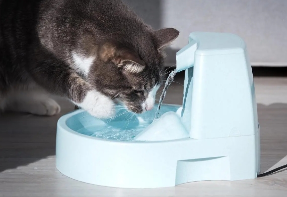 宠物饮水机是如何实现缺液提醒的_液位传感器