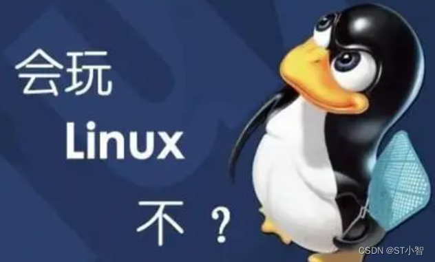 Linux系统中DDR3硬件初始化实验_驱动开发