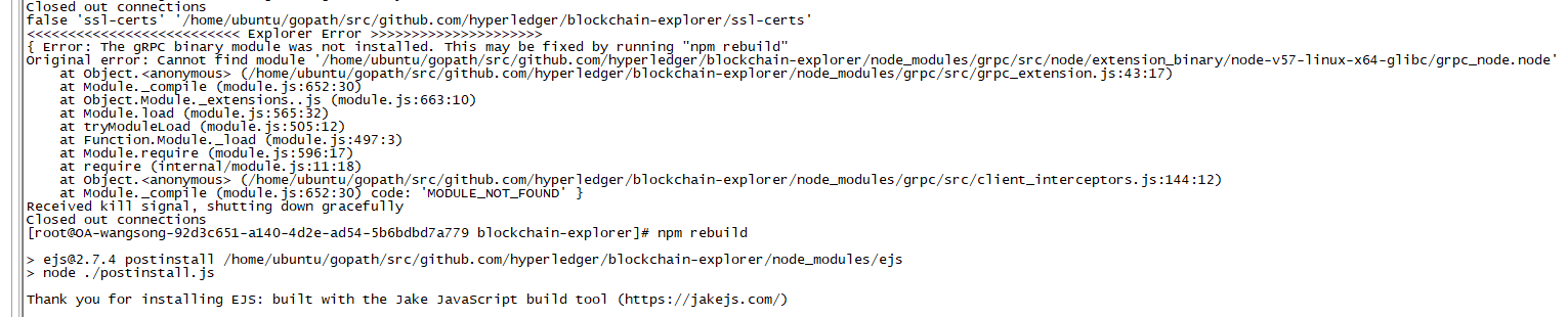 hyperledger explorer 结合 fabric1.4 搭建 区块链浏览器 踩坑记录_重新运行_06