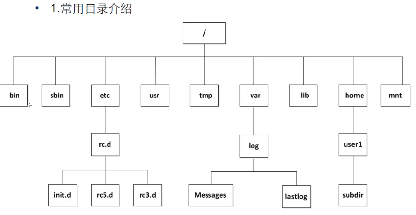 Linux入门-结构与命令【长期更新】