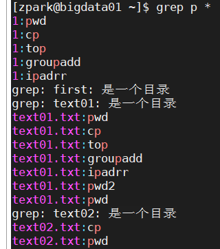 （5）Linux高阶命令——grep讲解