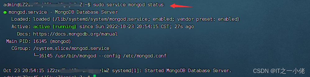Linux系统中安装MongoDB详解（Debian系统、Ubuntu系统）
