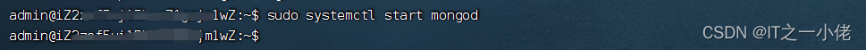 Linux系统中安装MongoDB详解（Debian系统、Ubuntu系统）