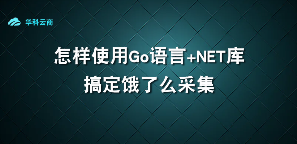 怎样使用Go语言+NET库搞定饿了么采集_代理服务器